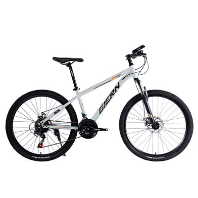 Ocelový rám Hardtail Mtb