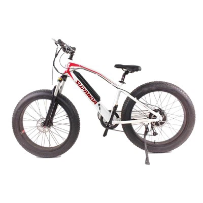 Dámské E Bike Mountain