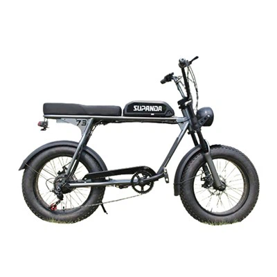 500W horské kolo