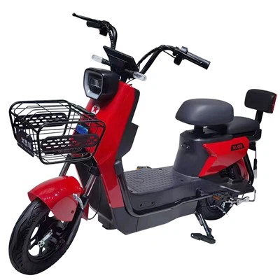 500 W Electric StCooter E-Bike se dvěma koly
