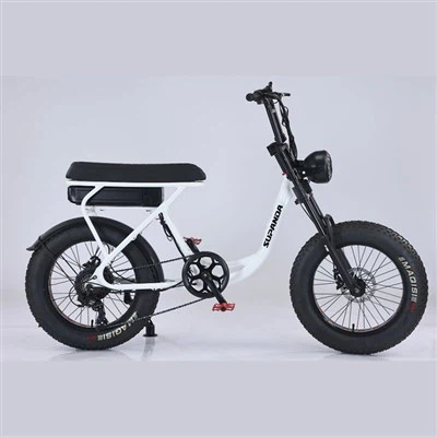 Ebike Double Crown
