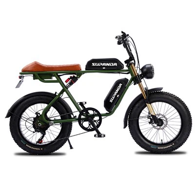 Dvoumotorový Ebike